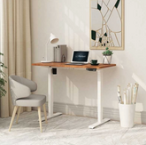 FlexiSpot E1 Standard Standing Desk